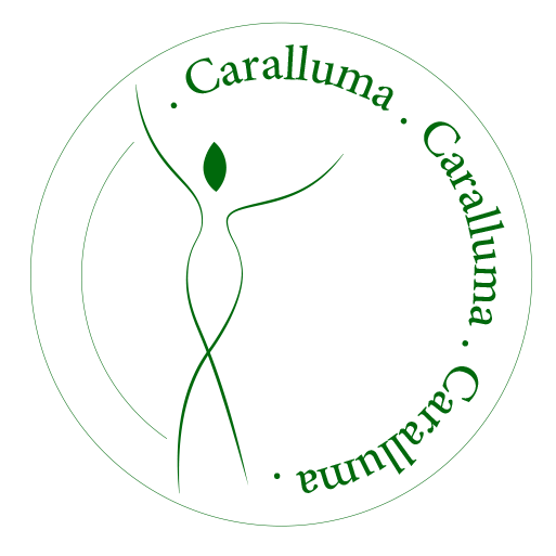 Caralluma